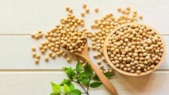 Đậu nành – Thành phần dinh dưỡng và tác dụng của đậu nành